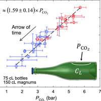 For the very first time, a long time-series dataset combined with a multivariable model indicates that the bottle size plays a crucial role on the progressive decay of dissolved CO2 experienced by champagne during aging.