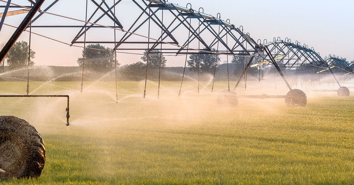 Irrigation system watering crops in a field at sunset.