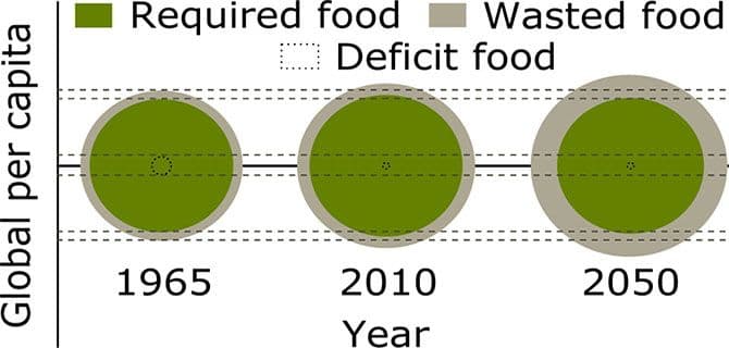 Food Waste