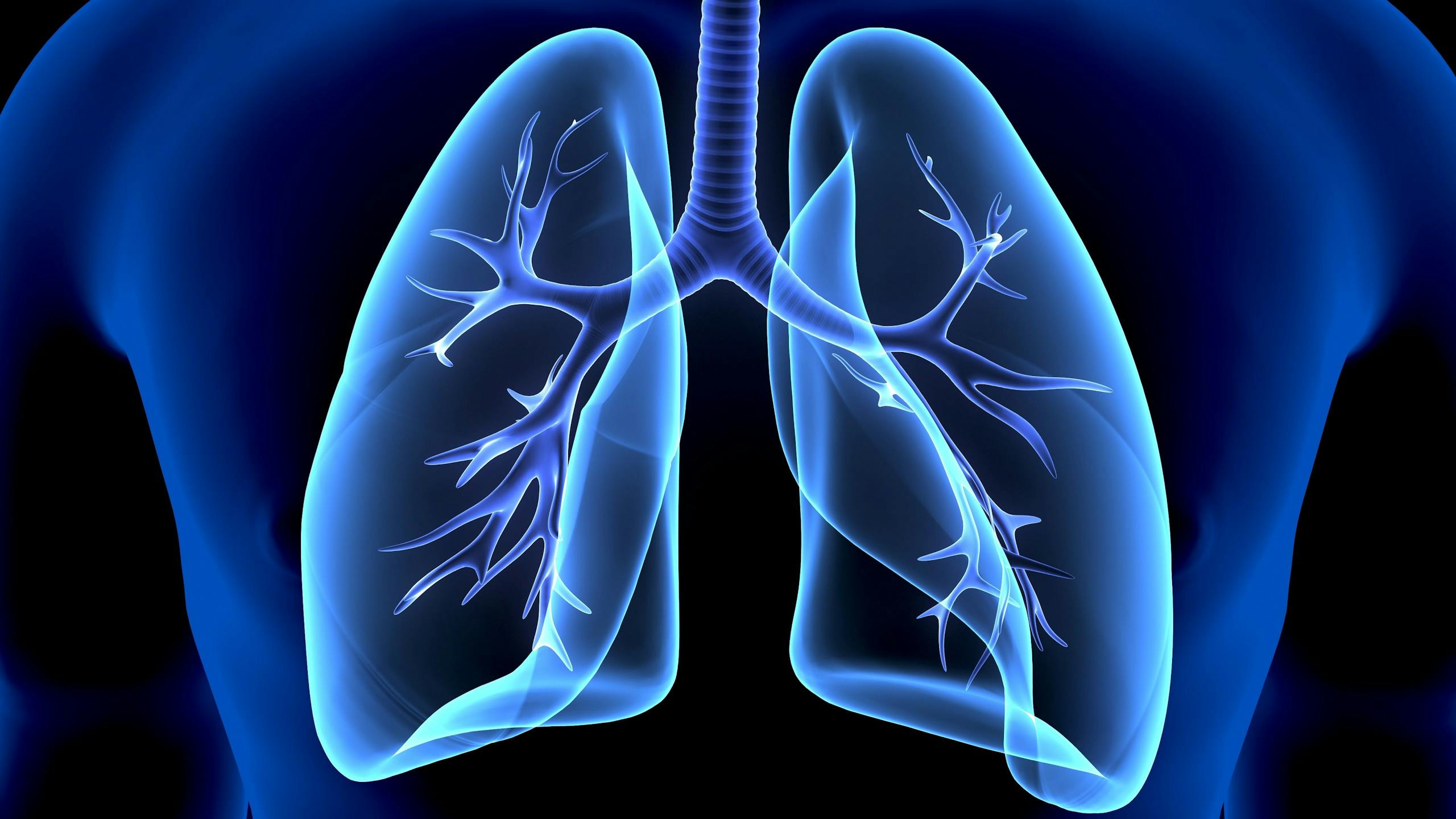 A digital illustration showing the human lungs with highlighted bronchial tubes, set against a blue background.