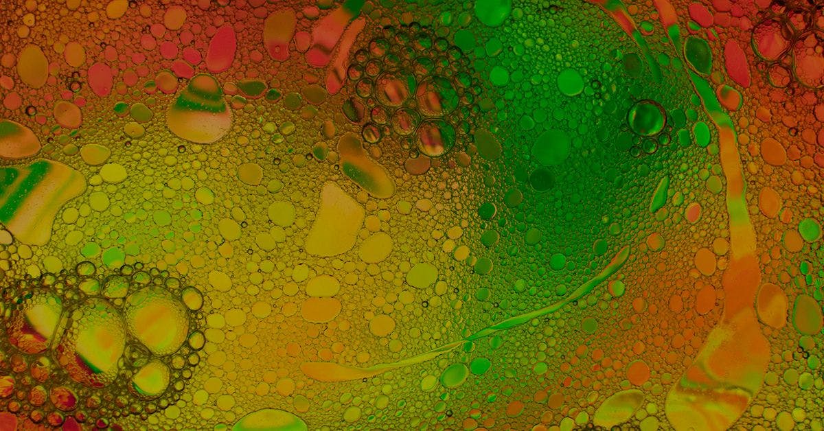 Close-up view of colorful oil droplets in water, forming a mosaic pattern with hues of red, orange, and green.