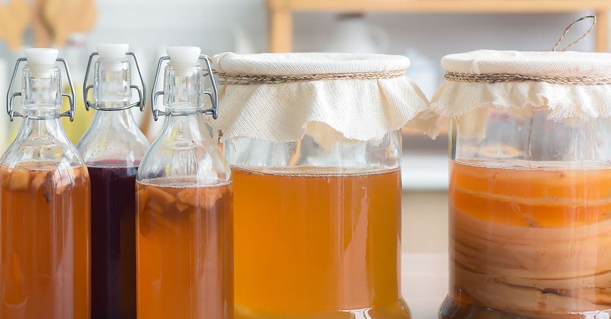 Glass jars and bottles contain fermenting kombucha, with various colors and SCOBYs visible inside. Fabric covers are secured with twine or metal closures.