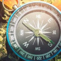 A compass on a rock in the woods.