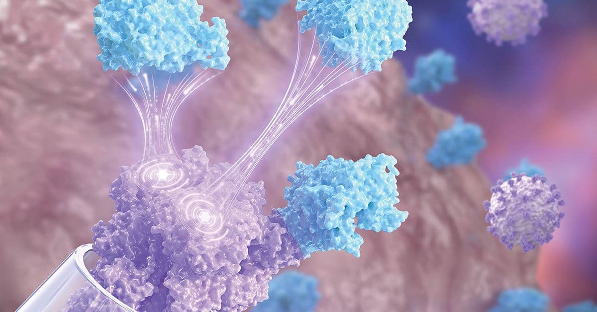 Blue and purple molecular structures connect in a conceptual illustration, symbolizing biological interaction or protein bonding.