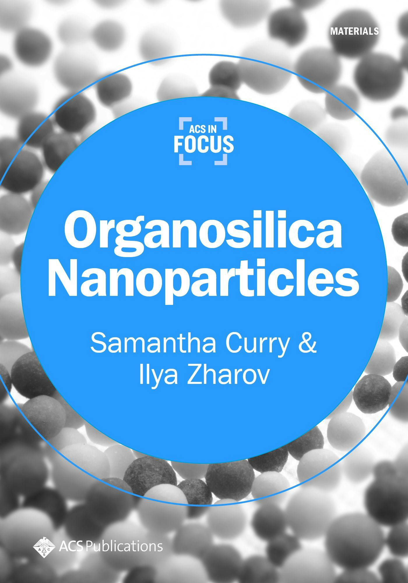 Organosilica Nanoparticles ebook cover