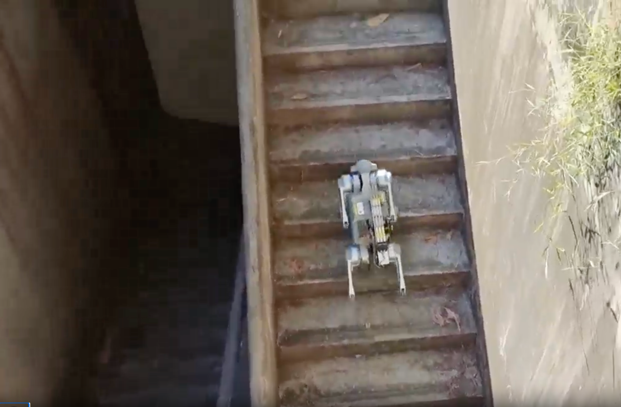 A small robotic device is descending a concrete staircase in an outdoor setting.