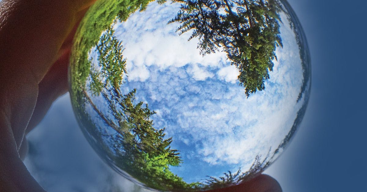 A person holding a glass ball with a view of the sky and trees.
