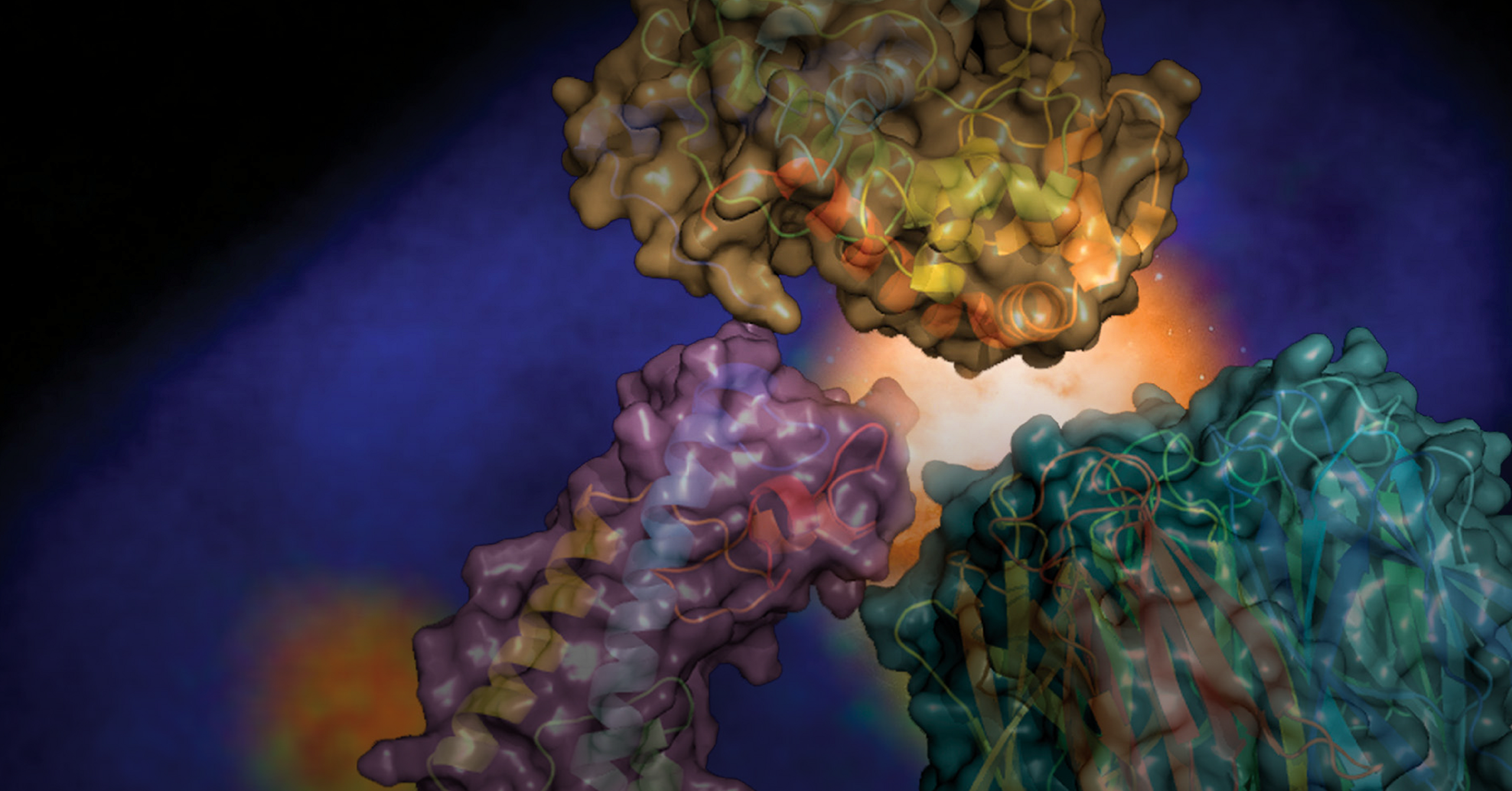 A 3D rendering of a protein complex with multicolored structures against a dark blue background, depicting interactions at a molecular level.