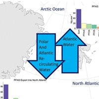The flow of PFAS between the Atlantic and Arctic oceans