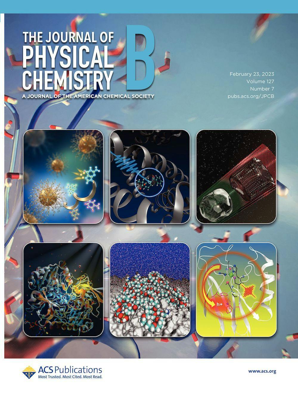 The Journal of Physical Chemistry B Cover