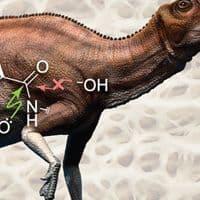 A model of a theropod dinosaur with a chemical structure diagram overlaying its midsection, set against a textured background.