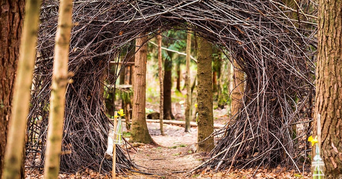 Archway made of interwoven branches in a forest setting, with trees and leaf-covered ground surrounding the structure.