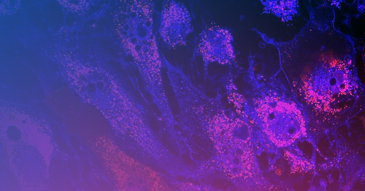 An image of a blue and purple background.