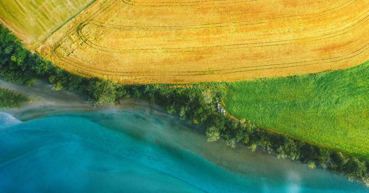 Top-down view of farmland divided into golden and green sections, bordered by a tree-lined strip next to bright blue water.