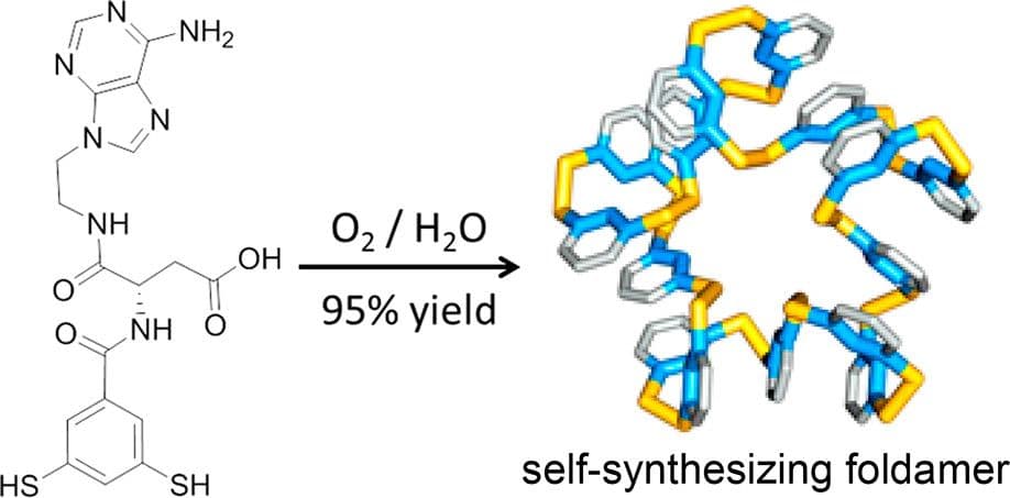 pontaneous Emergence of Complex Molecules that Can Fold Like Proteins