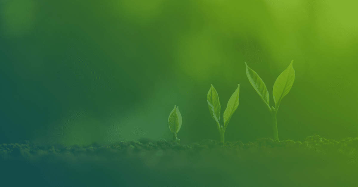 Four small green plants of varying heights emerging from rich soil, set against a soft-focus green background.