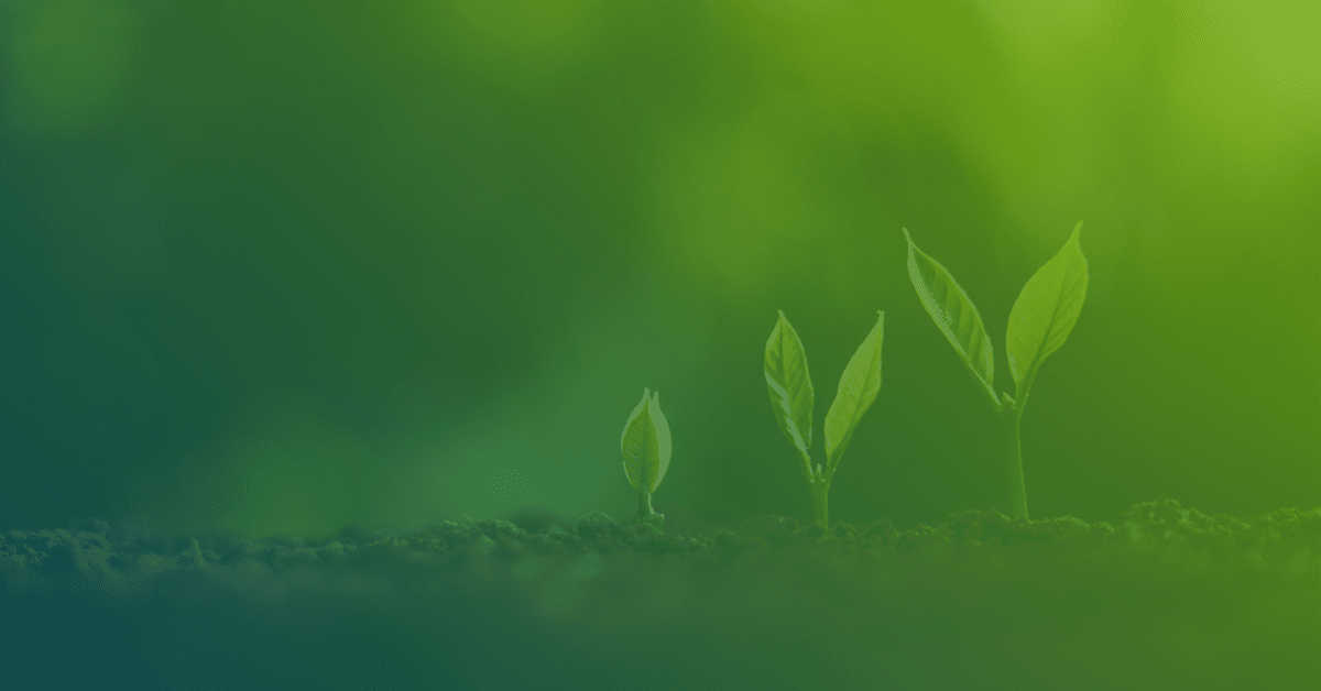Four small green plants of varying heights emerging from rich soil, set against a soft-focus green background.