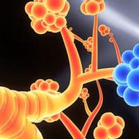 Colorful, stylized representation of alveoli with orange and blue clusters against a dark background.