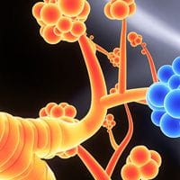Colorful, stylized representation of alveoli with orange and blue clusters against a dark background.
