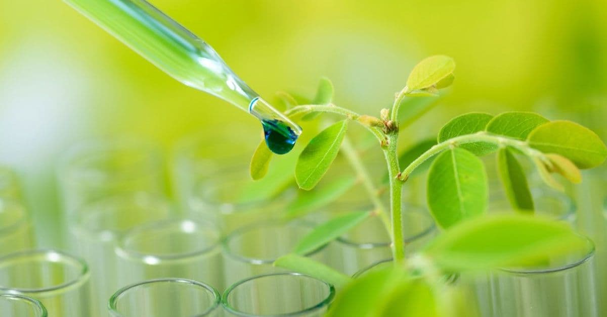 A green liquid is being poured into a test tube.