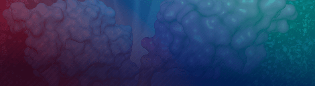 Recent Macromolecules Perspectives