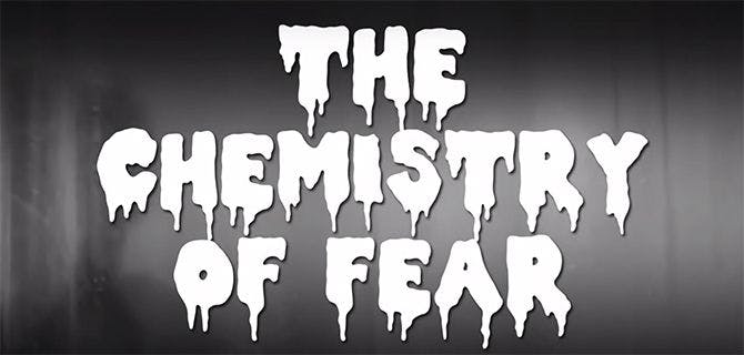 chemistry of fear