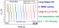 Long-Term Stable Elastocaloric Effect in a Heusler-Type Co51V33Ga16 Polycrystalline Alloy