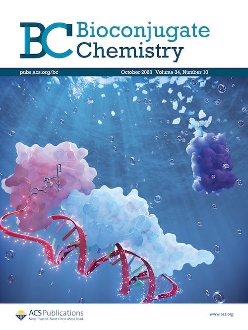 Supplementary Cover Art - Bioconjugate Chemistry