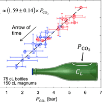 For the very first time, a long time-series dataset combined with a multivariable model indicates that the bottle size plays a crucial role on the progressive decay of dissolved CO2 experienced by champagne during aging.