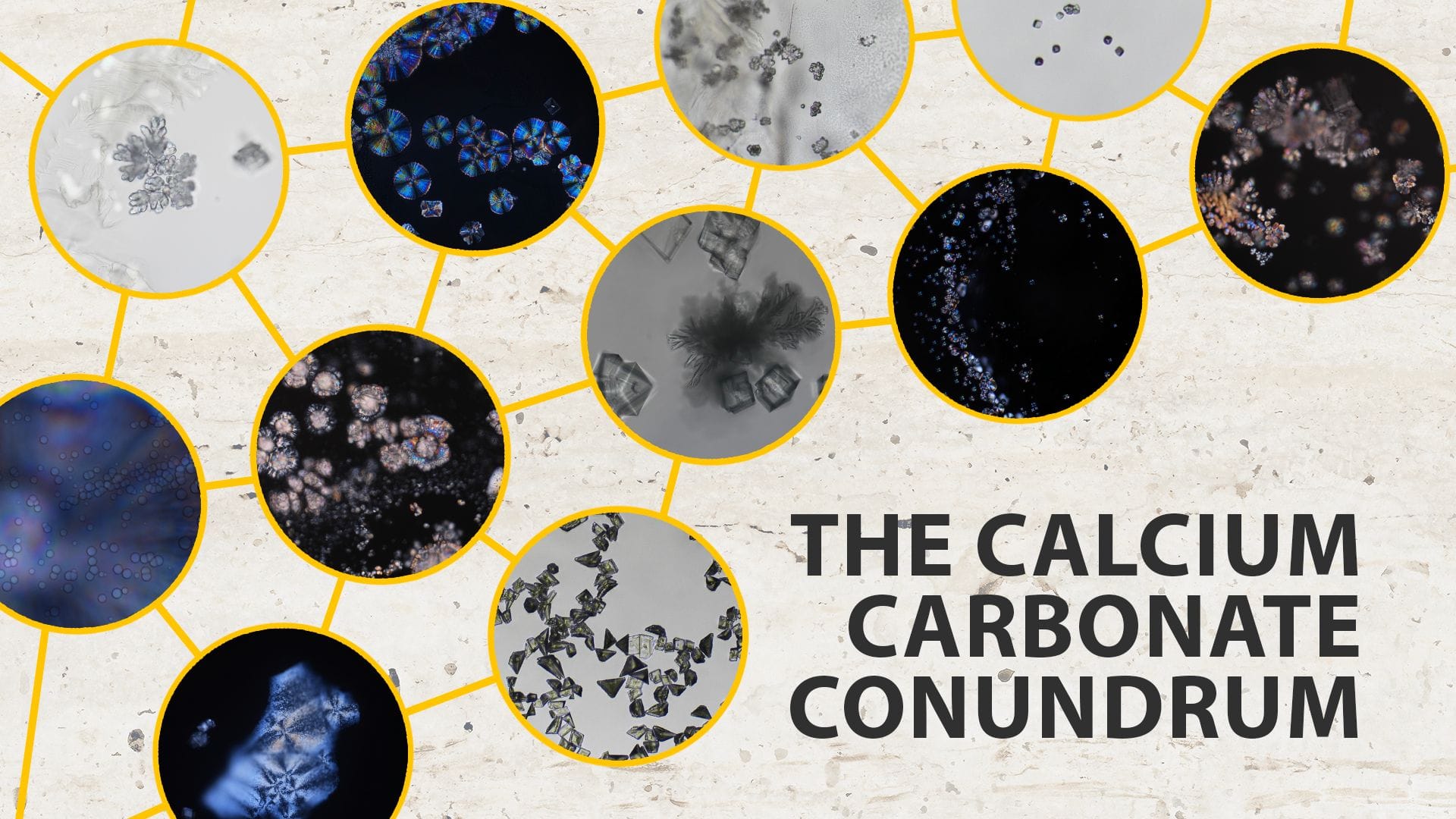 A collage of microscope images showcasing various calcium carbonate crystal structures on a light textured background. Copy reads, "The calcium carbonate conundrum."