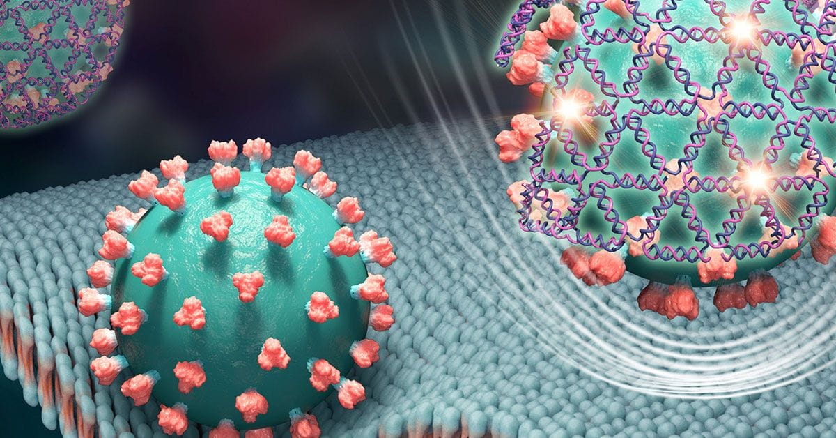 An artist's rendering of a coronavirus.