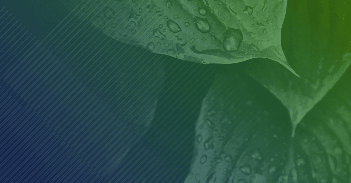 Close-up of green leaves with water droplets, set against a gradient background of deep blue to green hues and soft diagonal lines.