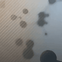 Thumbnail for 2022 Organometallics 2022 award winner article