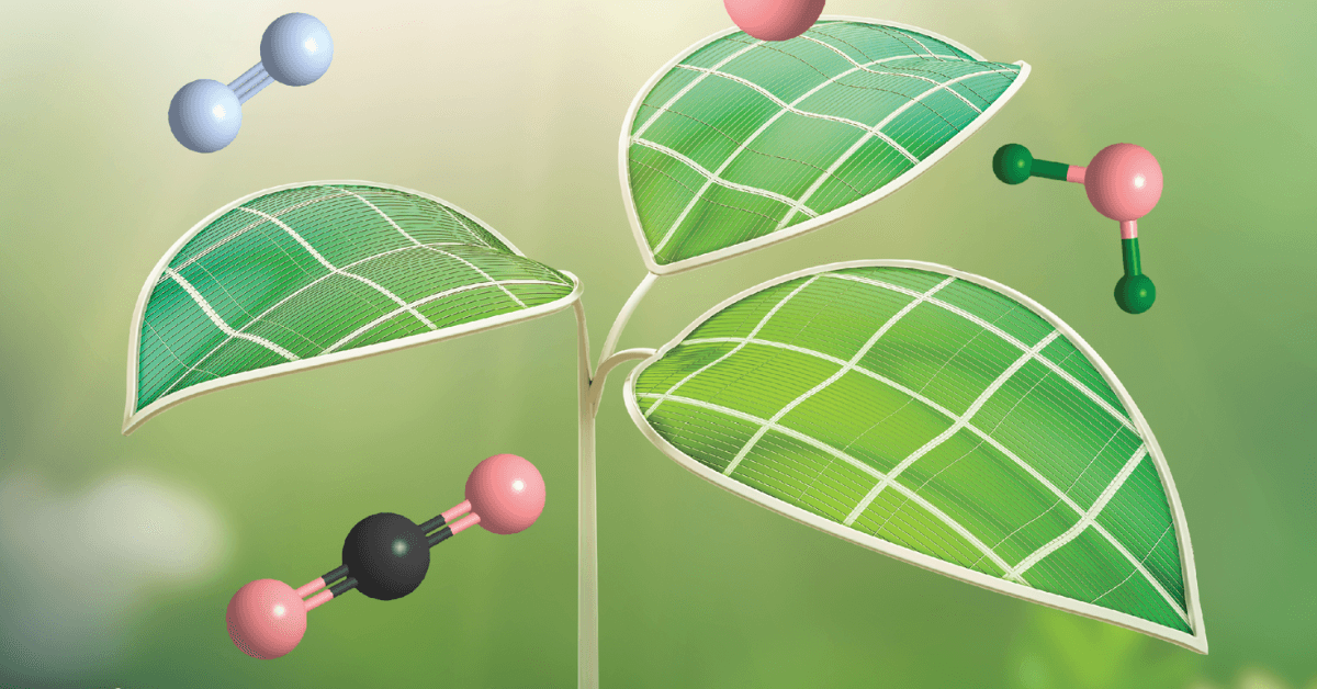 An image of a green leaf with a bunch of atoms on it.