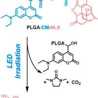 A diagram showing the structure of a molecule.