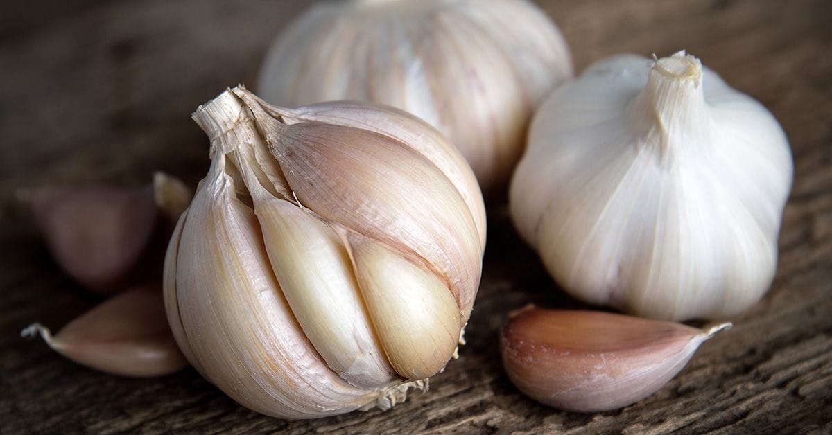 Whole and clove garlic bulbs on a wooden surface.