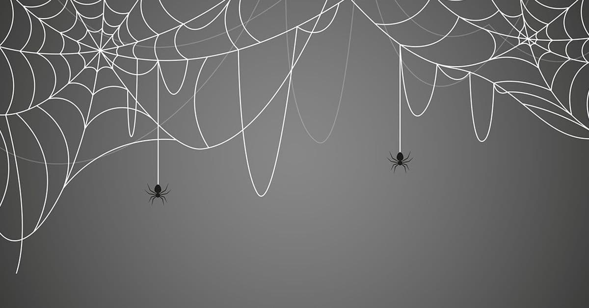 A digital illustration of two large spider webs in the top corners, with two black spiders dropping down from each on singular threads, set against a grey background.