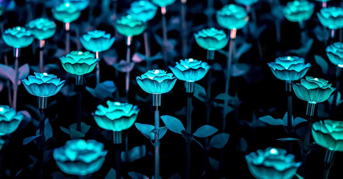 Field of blue illuminated artificial flowers at night.