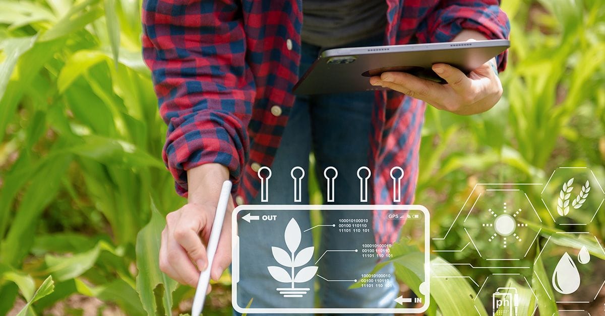 Concept of smart farmer using tablet computer in the field garden with sunset light, the application of modern technology in agricultural cultivation activities.