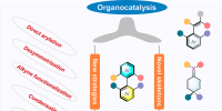 Organocatalytic Enantioselective Synthesis of Axially Chiral Molecules: Development of Strategies and Skeletons
