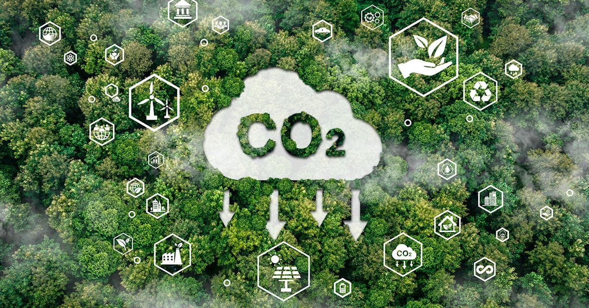 An aerial view of a lush forest with icons representing sustainability and carbon capture, featuring a prominent 'CO2' cloud above.