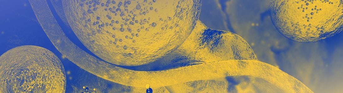 Celebrating Prof. Renato Zenobi at Ions and Photons in Analytical Science 2021