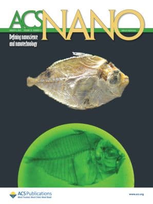 ACS Nano Journal Cover