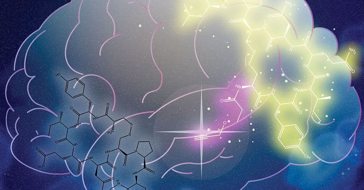 An illustration of a brain with a light shining on it.