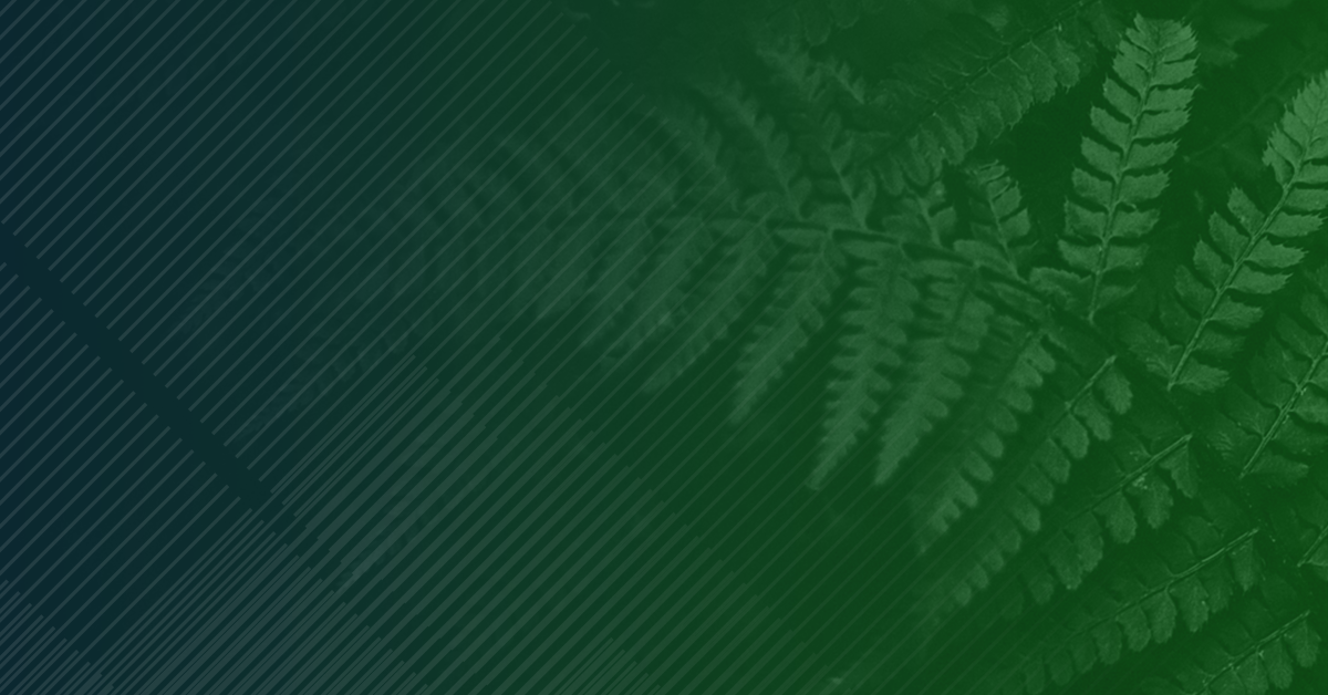 Gradient green background with a pattern of overlapping fern leaves, slightly illuminated from the right side.