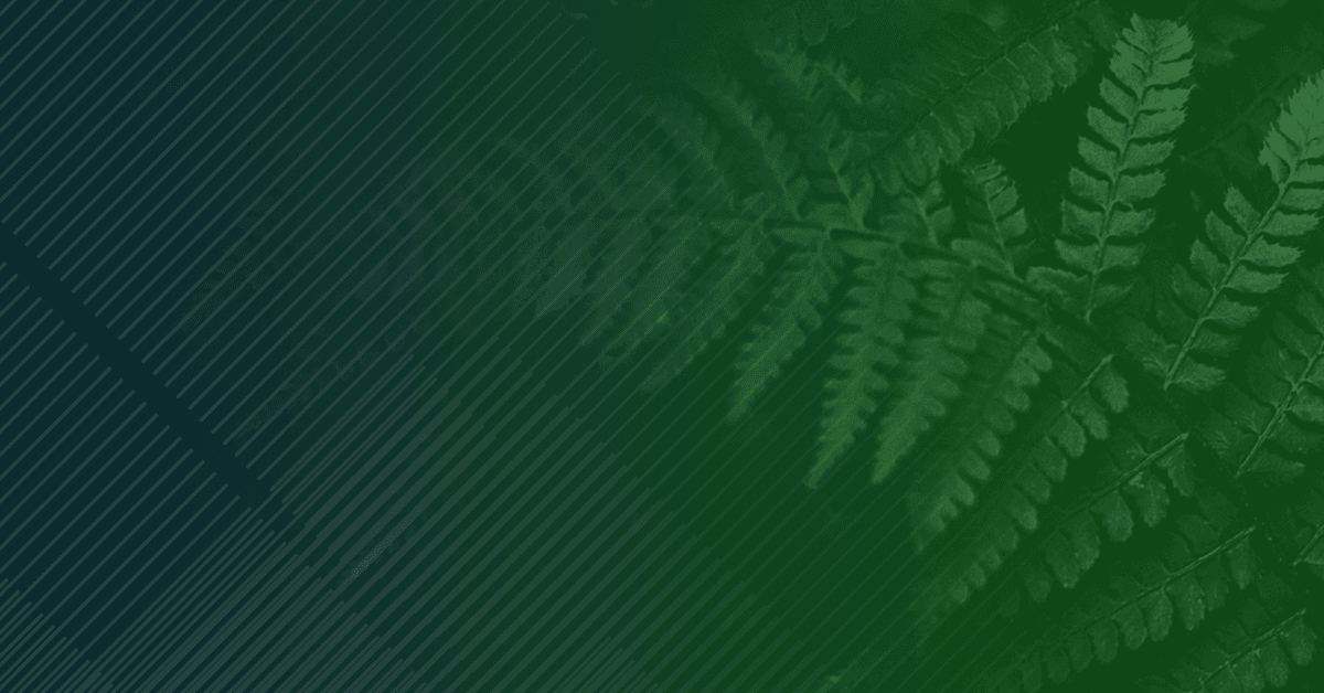 Gradient green background with a pattern of overlapping fern leaves, slightly illuminated from the right side.