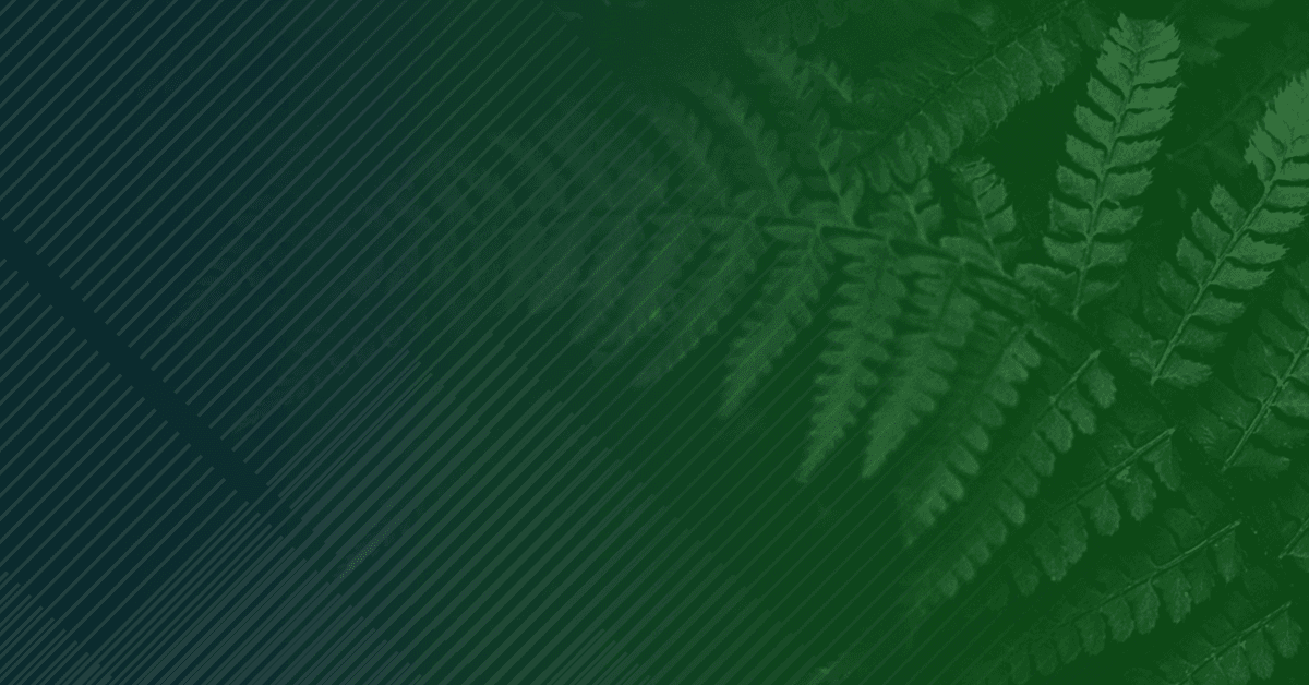 Gradient green background with a pattern of overlapping fern leaves, slightly illuminated from the right side.