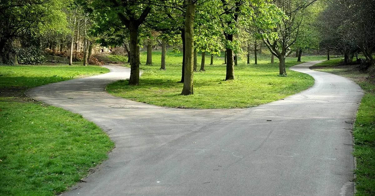 A Forked road in St. James Gardens, Liverpool. St James's Cemetery is an urban park behind the Liverpool Cathedral. This photo symbolise a choice between two different paths. Diminishing perspective point of view. Trees and green grass.