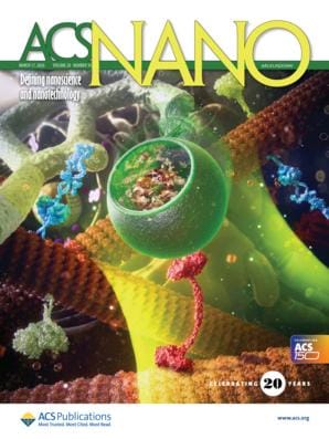 ACS Nano Journal Cover