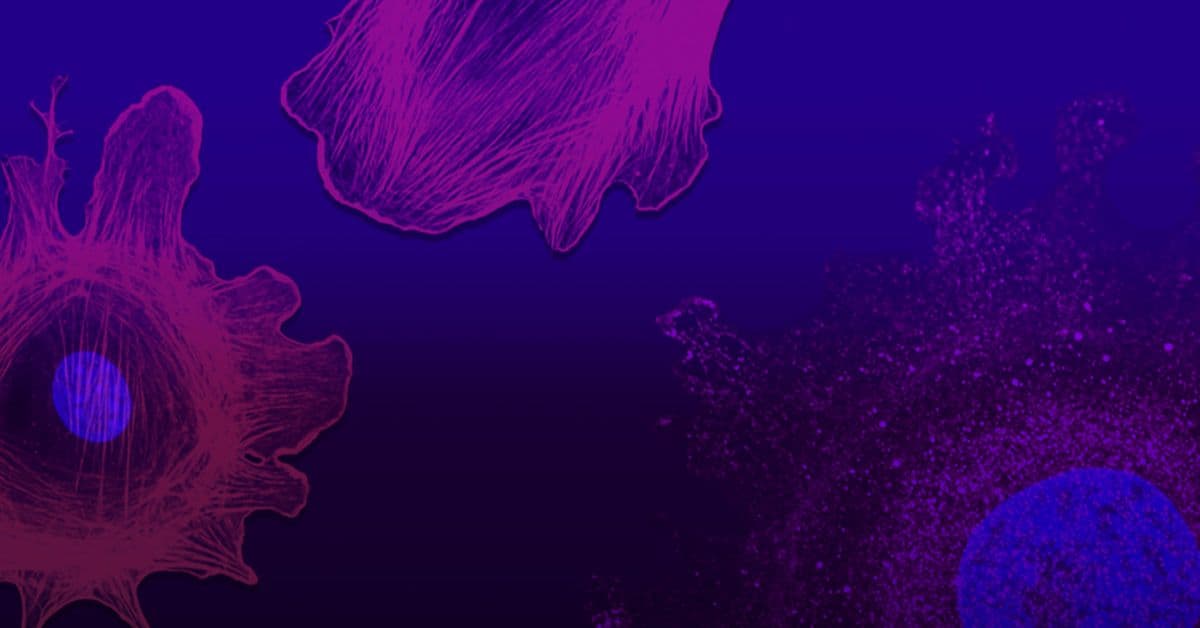 Illustration of single-cell organisms - pink and purple